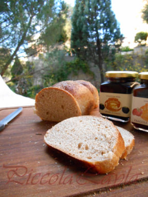 Panbrioche Integrale con Pasta Madre