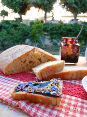 Ciabatta Croccante con Pasta Madre