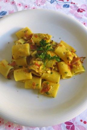 Mezze maniche con funghi porcini, pecorino, zafferano e speck