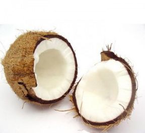 Cocco shake