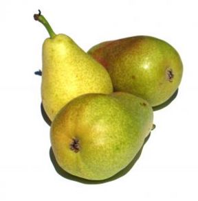 Torta di pere al cacao