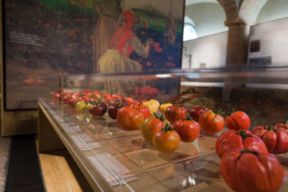Lungo le strade dei Musei del Cibo shopping e cultura