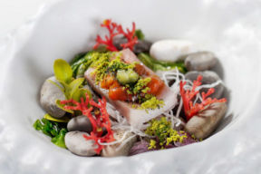 Ristorante Kyūshū, dove la Gastro-Cultura Giapponese incontra i Sapori Mediterranei
