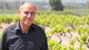 Su Stellato brillano i tre bicchieri