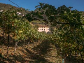 L’azienda vinicola Corte Capitelli conquista New York