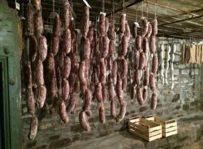 Le cicale ….e le formiche, dove gustare ottimi salumi fatti in casa