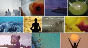 Nei lussuosi resort Soneva al via il Festival del Colore, tra chef stellati, astronomi e artisti