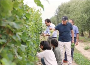 Presentata a Roma la nuova linea di vini della Cantina Placido Volpone