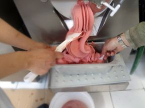 Gelato a Roma. Vieni a vedere la prima volta di Gabriele Bonci da Vice