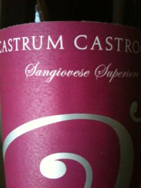 Castrum Castrocari Sangiovese Superiore 2009 - Marta Valpiani