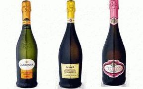 Prosecco di Conegliano Valdobbiadene: bollicine con forte potere di seduzione