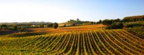 Il gusto pieno del ciliegiolo e  del sangiovese di Maremma con il Grillesino al God Save The Wine del 26 Giugno a Fiesole