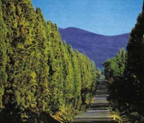 MareDivino a Livorno, tutta la costa in assaggio sabato 12 e domenica 13, ovvero Bolgheri, Val di Cornia, Bibbona e Elba!
