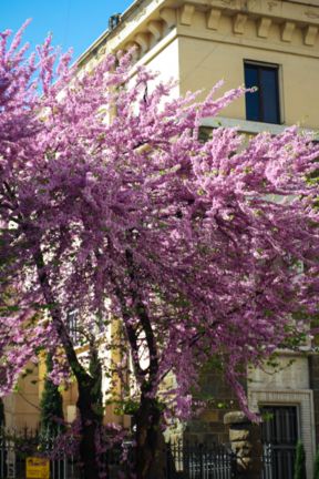 Qualche foto (a Roma)