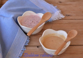 Yogurt fatto in casa