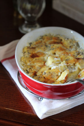 Tortellini con crema di gorgonzola e semi di papavero