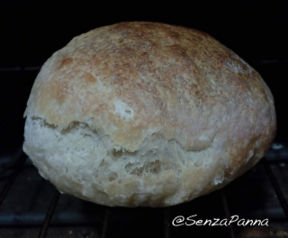 Pane al kefir. La ricetta del lunedì.