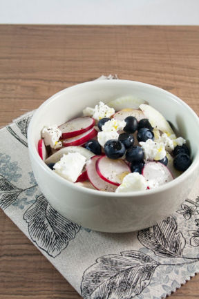 Insalata di finocchio mirtilli ravanelli e robiola