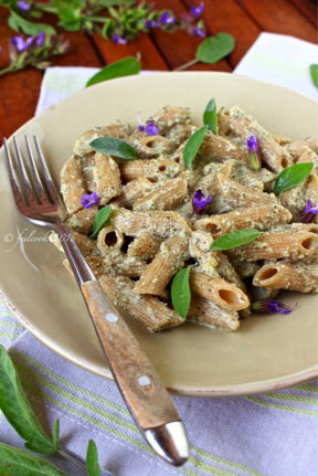Penne integrali al pesto di salvia e anacardi