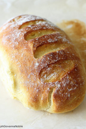 Pane di grano kamut