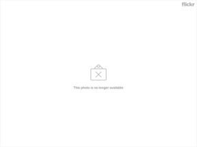 Tranci di focaccia di kamut con lardomagro, fior di latte e rucola