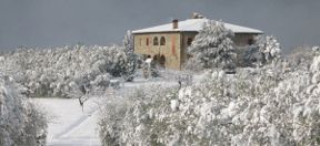 Terra di Seta, vini kosher e bio in Chianti Classico