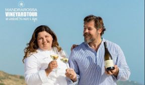 Volete provare l’emozione di vendemmiare davanti al mare? Correte al Mandrarossa Vineyard Tour!