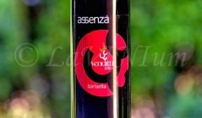 Produttori, un vino al giorno: Sannio Barbera Barbetta Assenza 2017 – Antica Masseria Venditti