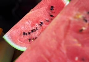 Paloma all’Anguria