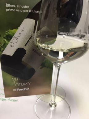 Èthos, il primo vino da varietà resistenti dell’azienda friulana Forchir