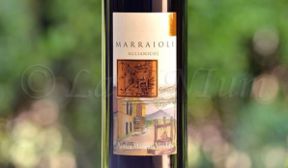 Produttori, un vino al giorno: Sannio Aglianico Marraioli Riserva 2011 – Antica Masseria Venditti