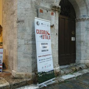 Ciliegiolo, vitigno minore di grande contemporaneità