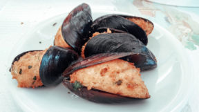 Racconti di Puglia: mangiare i Ricci