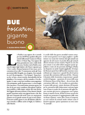 Conoscete il bue boscarin?