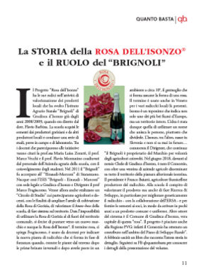 Conoscete la Rosa dell'Isonzo?