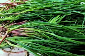 Barba di frate, senape dei monaci, lischi, roscani: insomma cosa sono gli agretti?