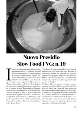 Saurnschotte: ricotta o formaggio?