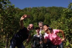 Vendemmia solidale alla cantina Le Manzane