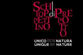 I racconti dello Schioppettino