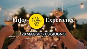 Enjoy Collio Experience e la sindrome di Stendhal