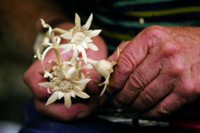 A Sutrio per riscoprire la Magia del legno