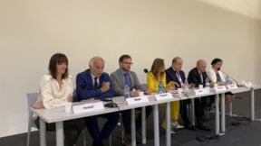 Oleoturismo: nuova frontiera del turismo enogastronomico