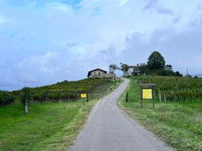 Appuntamento a Giasbana per i winelovers qbisti