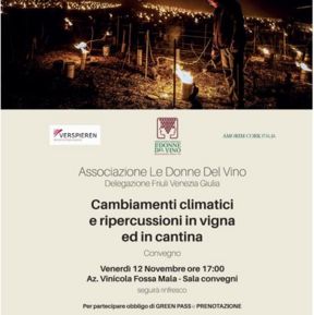 Come seguire il convegno sugli effetti in vigna e in cantina del clima che cambia