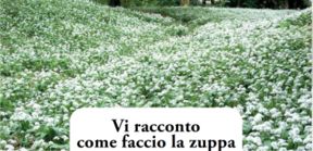 Zuppa di aglio orsino Bärlauch Suppe