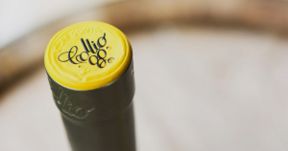 Il Consorzio Tutela Collio oggi