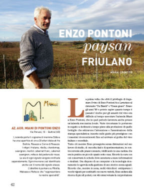 Intervista a Enzo Pontoni, azienda Miani