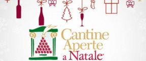 In dicembre le cantine friulane MTV sono aperte
