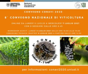 Convegno nazionale online di viticoltura a Udine