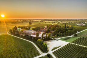 I segreti del territorio viticolo del Livenza